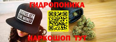 стаф Кинель