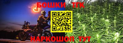 ешки Кингисепп